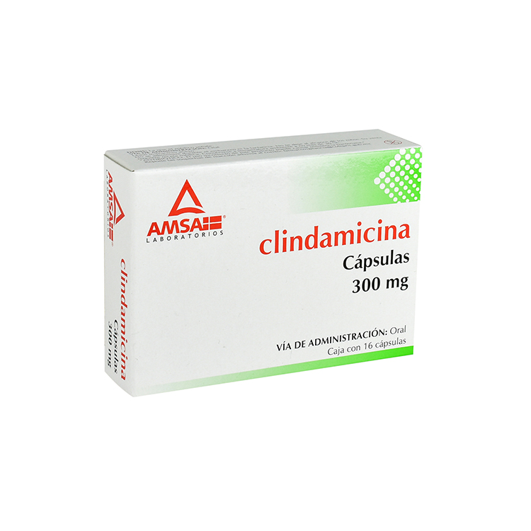 CLINDAMICINA 300MG CAP C16 Smart Club